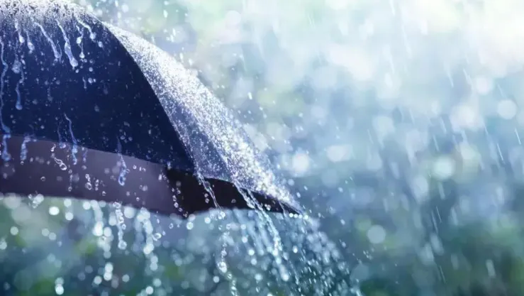 اليوم.. أمطار رعدية غزيرة على هذه الولايات