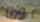 الجيش الوطني الشعبي