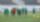 المنتخب الوطني 