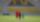 المنتخب الوطني 