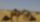تعبيرية
