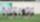 المنتخب الوطني 