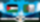 الجزائر ضد فلسطين 