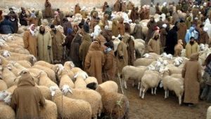 تعبيرية