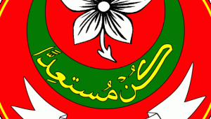الكشافة الإسلامية