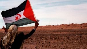 الصحراء الغربية