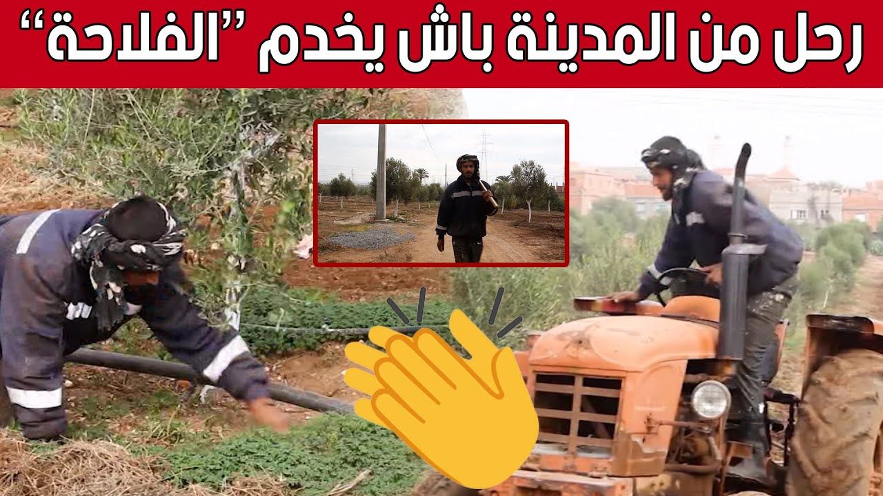 محمد .. شاب فضل الذهاب إلى الريف لخدمة أرضه على مدى حياة المدينة ..