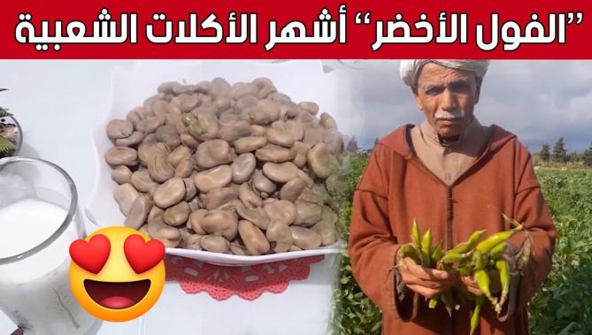 مستغانم..الفول الأخضر من الاطباق الشعبية التقليدية على المائدة الجزائرية.. شاهدوا