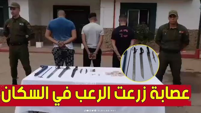 فرقة الأمن والتحري بالكرمة توقف جماعة إجـ.ـرامـ..ـية تحترف السـ..ـرقة والسطو على ممتلكات المواطنين
