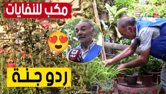 عبد الوكيل.. متقاعد من ميلة نجح في تحويل مكب للنفايات إلى حديقة مزهرة بكل أنواع الورود 🥰👏
