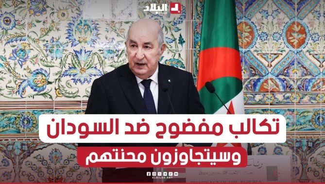 الرئيس تبون: نحن على يقين أن السودان سيتجاوز هذه المحنة المنجرّة عن تكالب مفضوح ضده