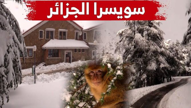 "كأنك في سويسرا".. شاهدوا المناظر الساحرة لحظة تساقط الثلوج في منطقة تيكجدة بالبويرة
