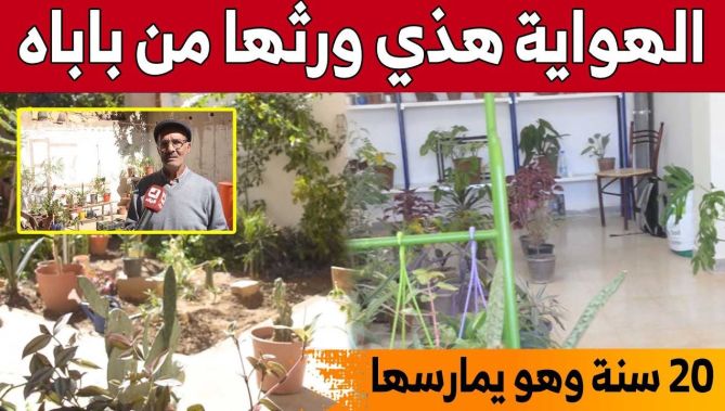 هكذا إستطاع "بن عيسى" الإعتناء بنباتات الزينة وهوايته المفضلة منذ 20 سنة...شاهدوا