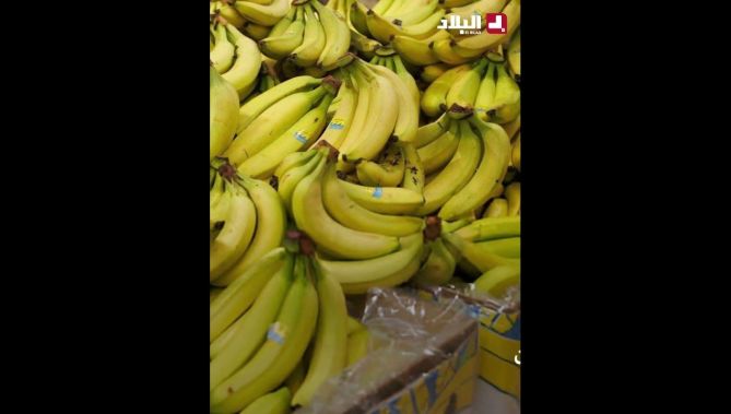 وزارة #التجارة الخارجية وترقية الصادرات تقر عقوبات صارمة ضد 53 مستـوردا لـ #الـموز 🍌 .. #شاهد