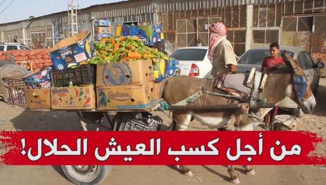 حمل الخضر والفواكه على عربات تجرها حمير ..مهنة العديد من الشباب لإعالة أسرهم بالوادي