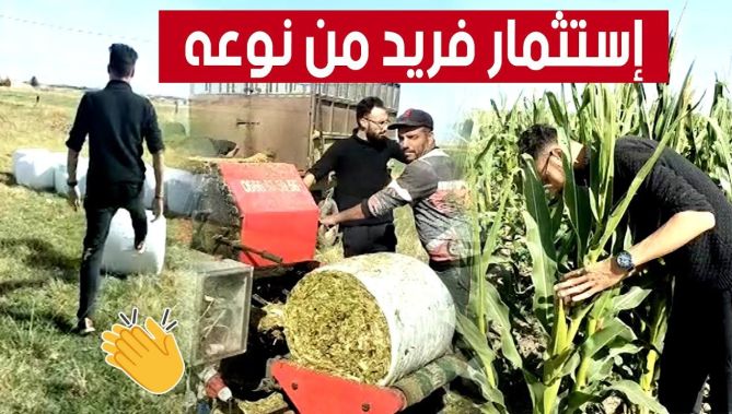محي الدين من خنشلة.. شاب مبدع ينجح في تحويل محصول الذرة إلى أعلاف "انسيلاج" 👏