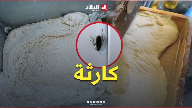 لقاو مخبزة في حالة كارثية.. أعوان الرقابة يسجلون انعدام شروط النظافة وحفظ العجين
