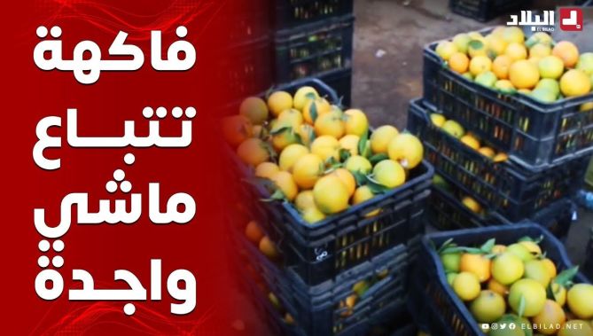 فئة من التجار تعرض فاكهة للبيع رغم كونها غير ناضجة بعد.. شاهدوا