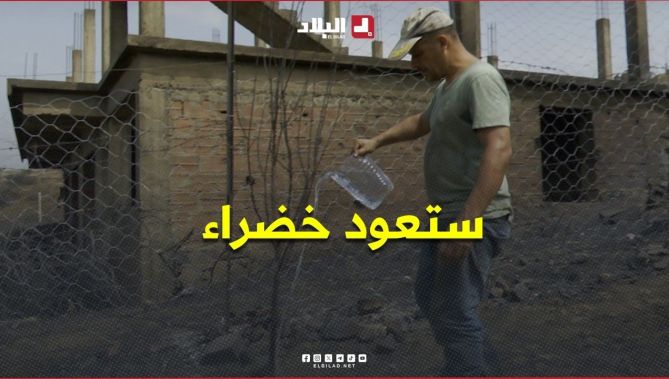 " أرضنا نحيوها بإذن الله " .. مواطن من جيجل يسقي أشجاره ويتمسك بعودة أرضه كما كانت