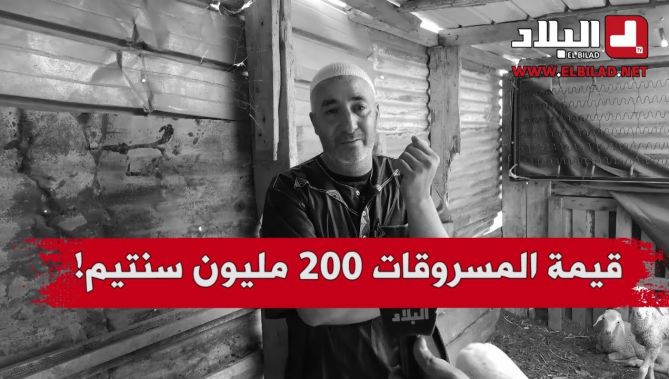 آكلو عرق الناس سرقوا منه 52 رأس ماشية !..شاهد: