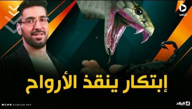جزائري يبتكر اداة تنقذ أرواح من تعرضوا للدغات الأفاعي و العقارب