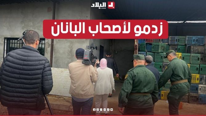 مصالح وزارة التجارة في خرجة ميدانية لمراقبة مدى احترام المستوردين وبائعي الجملة أسعار مادة الموز..