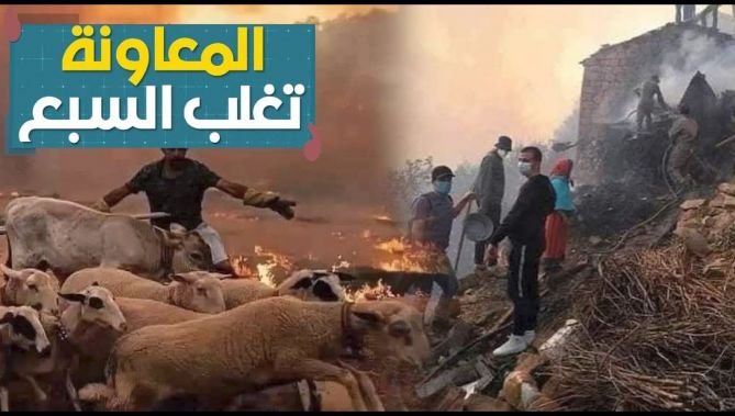 مرة أخرى..هبّة تضامنية لإغاثة سكان القرى المتضررة من حرائق الغابات في تيزي وزو..شاهد: