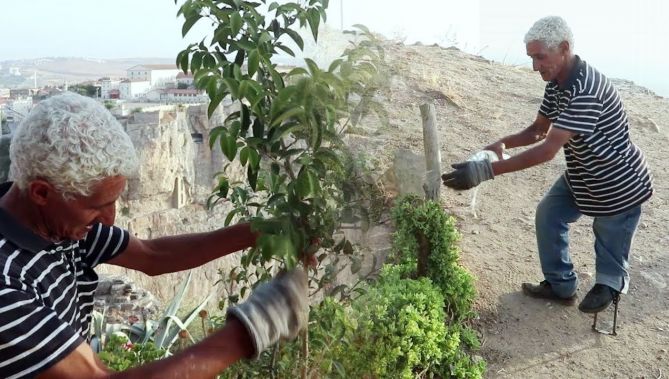 "عمي سليم" .. يتحدى حاجز السن والإعاقة ليزين المساحات العمومية بقسنطينة "تطوعا"