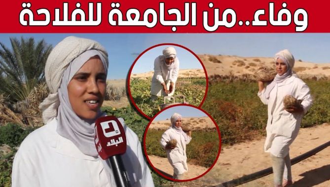 هكذا جسدت الشابة الجامعية "وفاء" تجاربها الفلاحية ووفقت بينها وبين دراستها 👏🥰