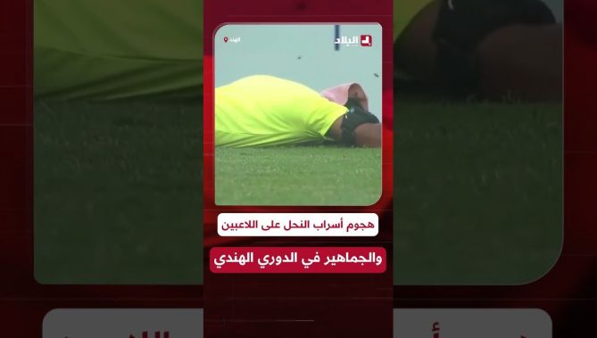 #متداول هجوم أسراب من النحل على أحد الملاعب في الدوري الهندي ما أدى إلى هروب اللاعبين والجماهير