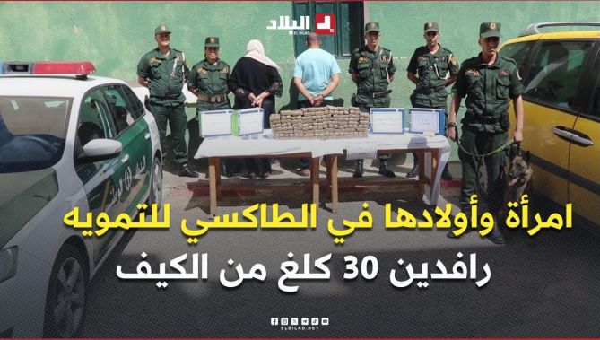 امرأة وأولادها في الطاكسي للتمويه .. الدرك الوطني بسعيدة يحبط محاولة تهريب أكثر من 30 كلغ من الكيف
