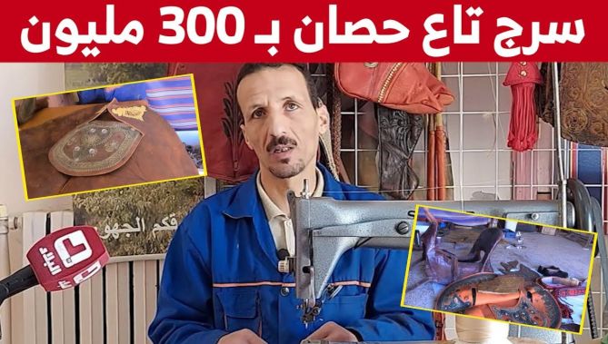 سروج من الذهب والفضة تباع بـ 300 مليون سنتيم.. شاهدوا
