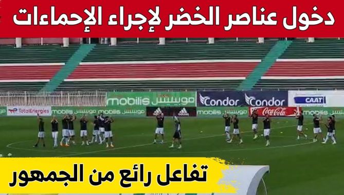 تفاعل رائع من الجمهور لحظة دخول عناصر الخضر لإجراء الإحماءات..شاهد: