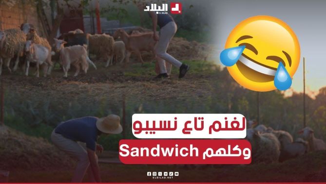 سليم ڤاع مايفهمش فالفلاحة😂.. المعيز تاع نسيبو وكلهم السوندويتش.. الضحك بالدموع🤣..