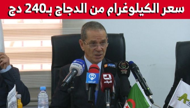 وزير الفلاحة : إتفاقية لتحديد سعر الدجاج الحي بـ240 دينارا للكلغ