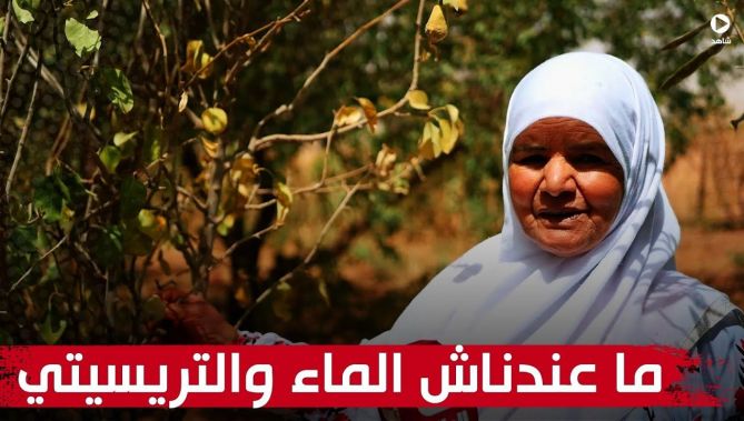 الأغواط: غياب الكهرباء الفلاحية يرهن تطوير مزرعة محمد وعيسى شاشي