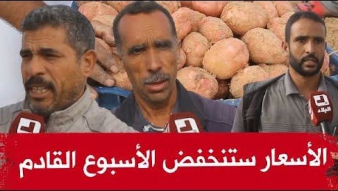 فلاحو واد سوف يطمئنون ..آلاف الشاحنات ستصل الأسبوع القادم الى الأسواق و الأسعار ستنخفض