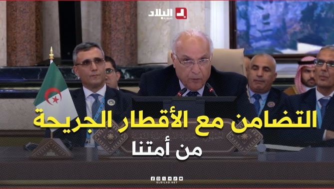 الحديث عن التنمية المستدامة في المنطقة العربية يجب أن يستند إلى مبدأ التضامن مع الأقطار الجريحة