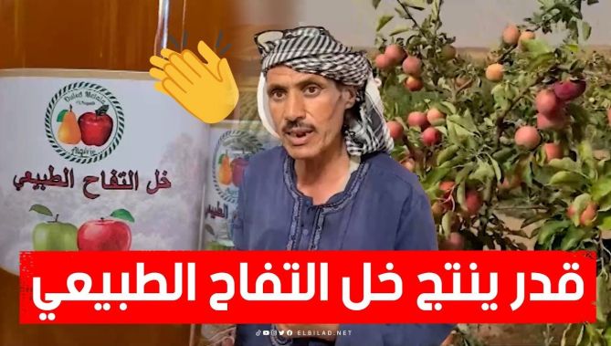 مستثمر فلاحي من البيّض يحقق نجاحا في إنتاج "خل التفاح" الطبيعي دون أي إضافات أخرى.. شاهدوا: : البلاد