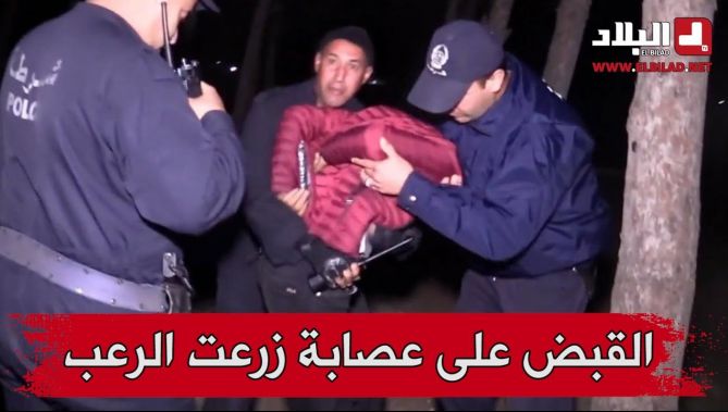 أمن سيدي بلعباس يطيح باخطر عصابة احياء زرعت الرعب بين السكان
