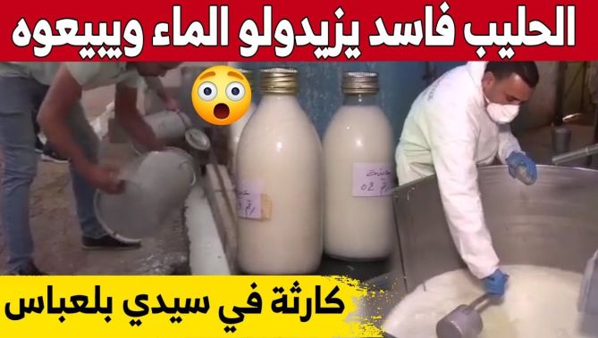 شاهدوا.. أمن سيدي بلعباس يجنب الولاية من كارثـ..ـة صحية!.." الحليب الفاسد يزيدولو الماء ويبيعوه" 😱😱