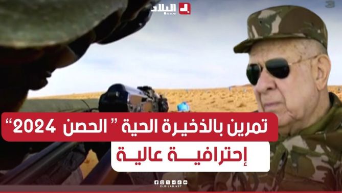 الفريق أول شنقريحة يشرف على تمرين تكتيكي بالذخيرة الحية ʺ الحصن 2024 ʺ