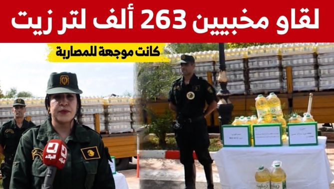 مصالح الدرك الوطني بتيارت تتمكن من حجز 236 ألف لتر من زيت المائدة كانت موجهة للمضاربة.. شاهدوا