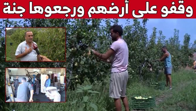 عائلة معزوزي.. تجربة رائدة في الإستثمار الفلاحي بتيزي وزو.. شاهد:
