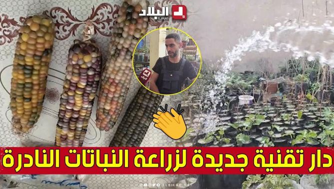 "بتقنيات جديدة".. #رضـــا من تبسة يروي تجربته في زراعة النباتات النادرة 😍👏