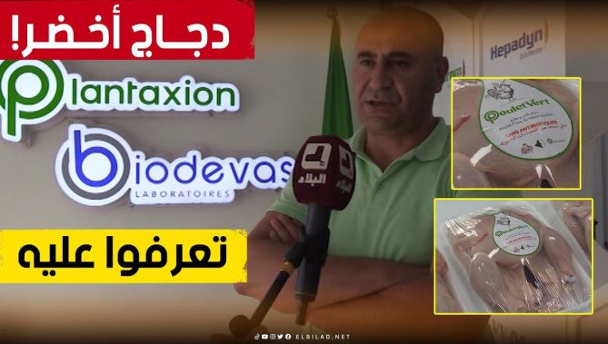 لأول مرة في الجزائـــــر.. دجاج طازج خالي من #المضادات_الحيـــوية في 5 ولايــات👏🥰
