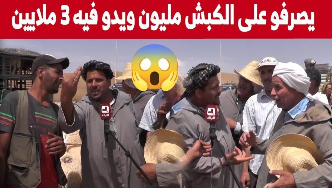 "موال مخاطبا التجار و الموالين عليكم بالقناعة "تشريو الخروف بزوج ملايين ونص و تبيعوه بـ 6 ملايين