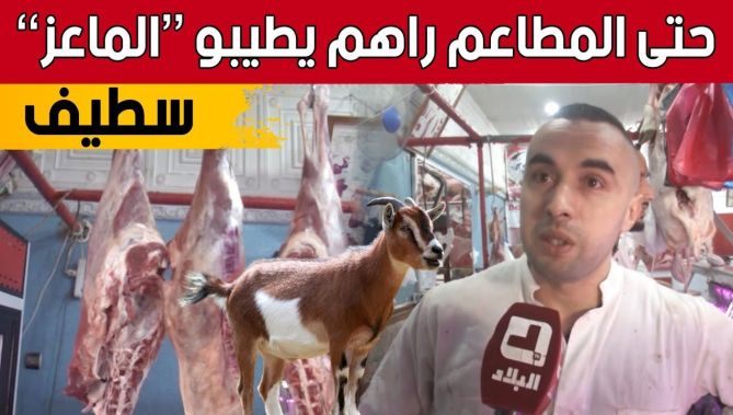 نظرا لفوائده الصحية.. سكان منطقة بوعنداس بسطيف يُقبلون بكثرة على لحم الماعز.. شاهد