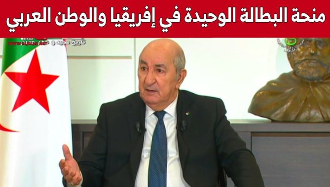 رئيس الجمهورية: منحة البطالة هي الوحيدة من نوعها في إفريقيا وفي العالم العربي