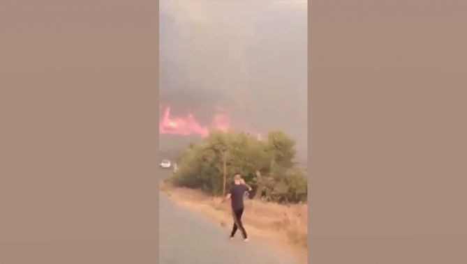 متداول.. حريق هائل يجتاح غابات "فليكي" بعزازقة بولاية تيزي وزو.. شاهدوا: